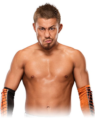 Custom Wrestler Picture:Akira Tozawa 1