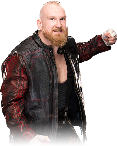 Custom Wrestler Picture:Alexander Wolfe