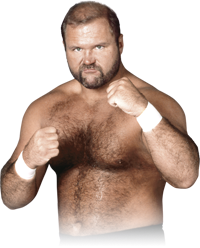 Custom Wrestler Picture:Arn Anderson
