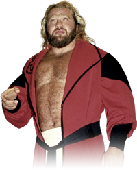 Custom Wrestler Picture:Big John Studd