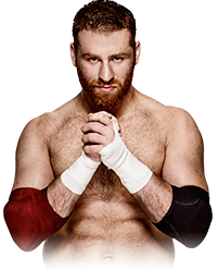 Custom Wrestler Picture:Sami Zayn 2
