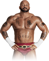 Custom Wrestler Picture:Saturn (WCW)