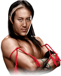 Custom Wrestler Picture:Yoshi Tatsu 2